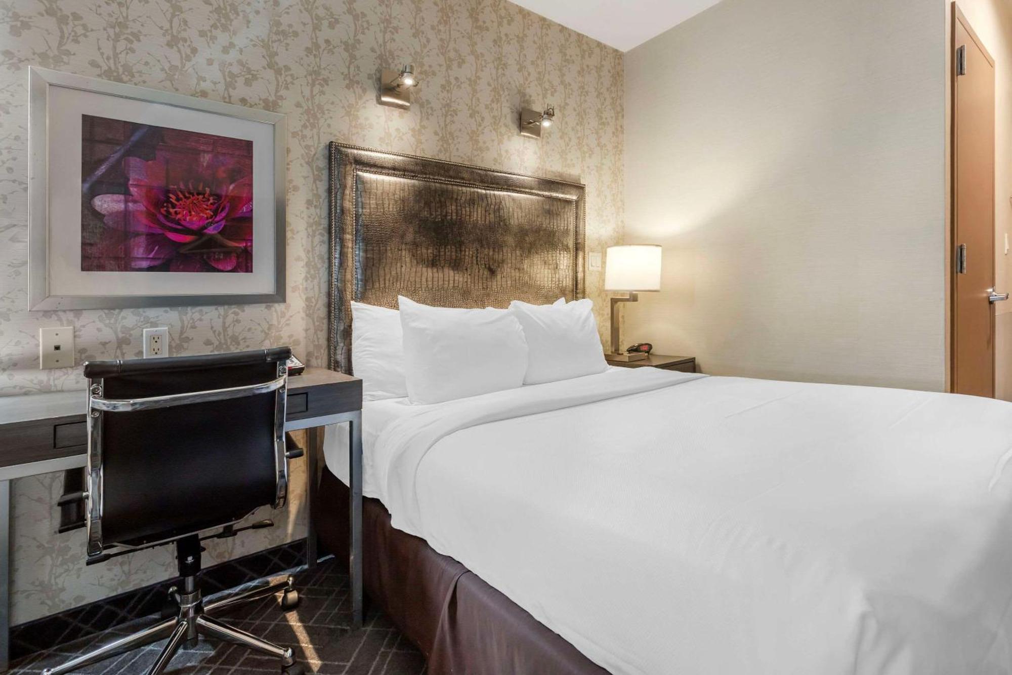Comfort Manhattan - Midtown West Mini-hôtel New York